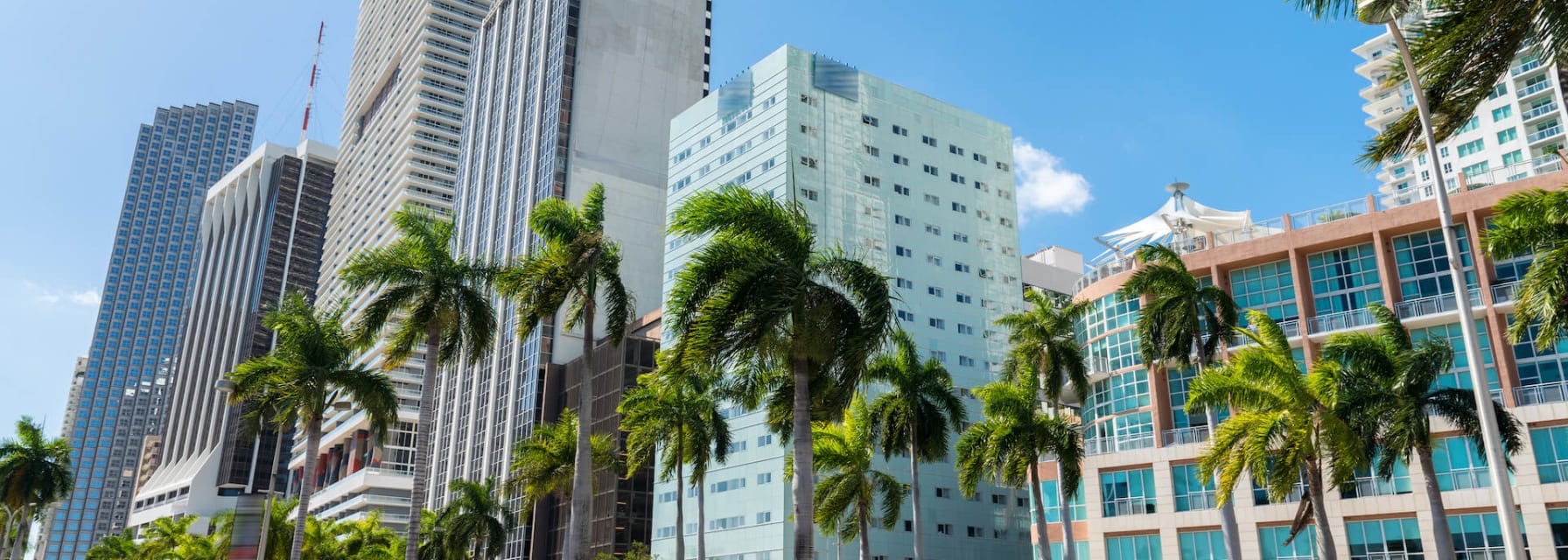 Skyline of buildings in Downtown Miami