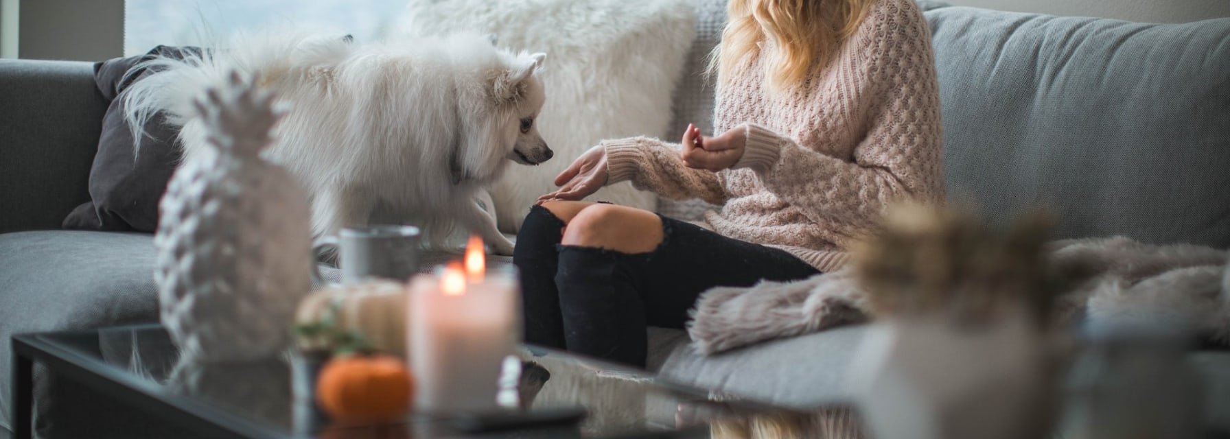 A lady and a dog sit on the couch