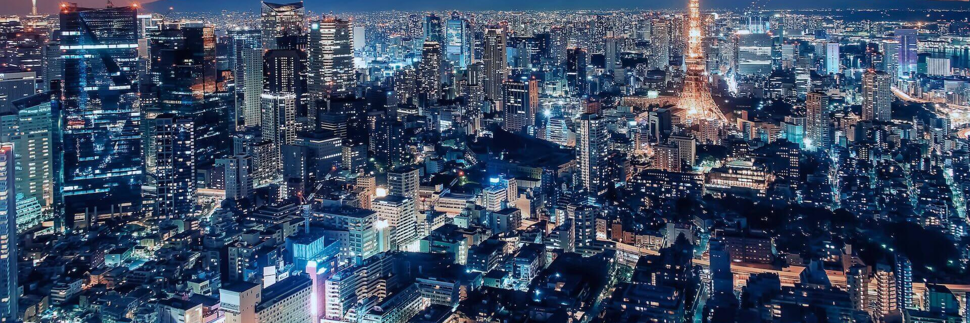 Skyline of Tokyo with mountain in background