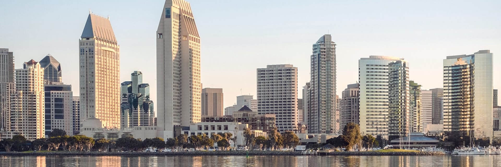 A wide shot of skyscrapers in downtown San Diego.