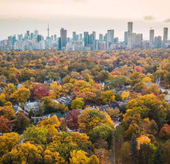 Toronto skyscrapers and trees in autumn