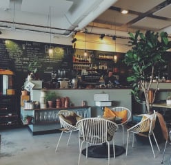 a comfortable and chill cafe in miami