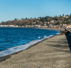 matthews beach, seattle