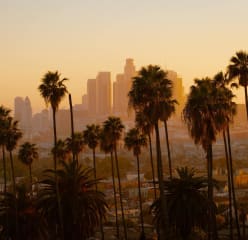 the los angeles skyline