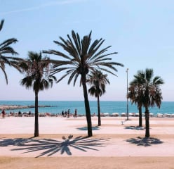 barceloneta beach on a summer day