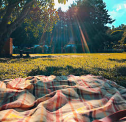 a picnic on a sunny summer day