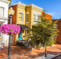 a picturesque neighborhood and street in downtown washington, dc