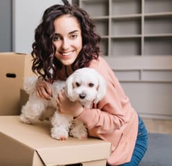Pet-friendly apartment and lady with a small dog in an apartment with boxes