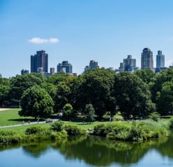 View of Central Parks in NYC, with skyscrapers in the background