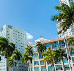 Skyline of buildings in Downtown Miami