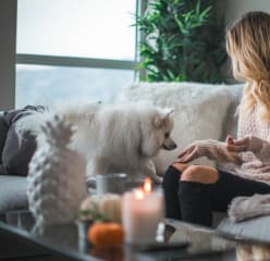 A lady and a dog sit on the couch
