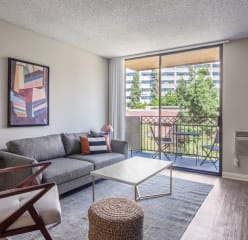 a quiet westwood living room with greenery outside the window