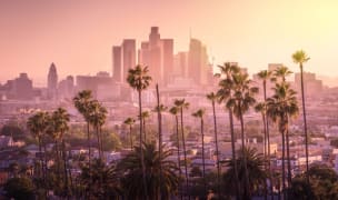sunset in LA, palm trees at the forefront with a beautiful city skyline further back