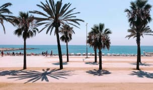 barceloneta beach on a summer day