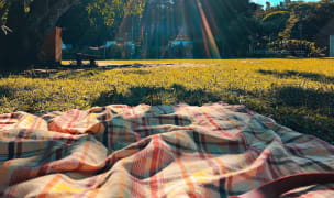 a picnic on a sunny summer day
