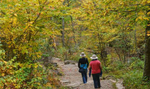 shenandoah national park elderly couple walking through trail