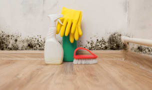 blueprint blueground how to test for mold black mold in corner of room wall preparation for mold removal with white spray bottle red scrub yellow gloves