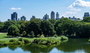 View of Central Parks in NYC, with skyscrapers in the background