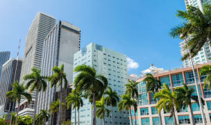 Skyline of buildings in Downtown Miami