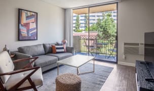 a quiet westwood living room with greenery outside the window