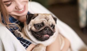 woman hugging pug while smiling