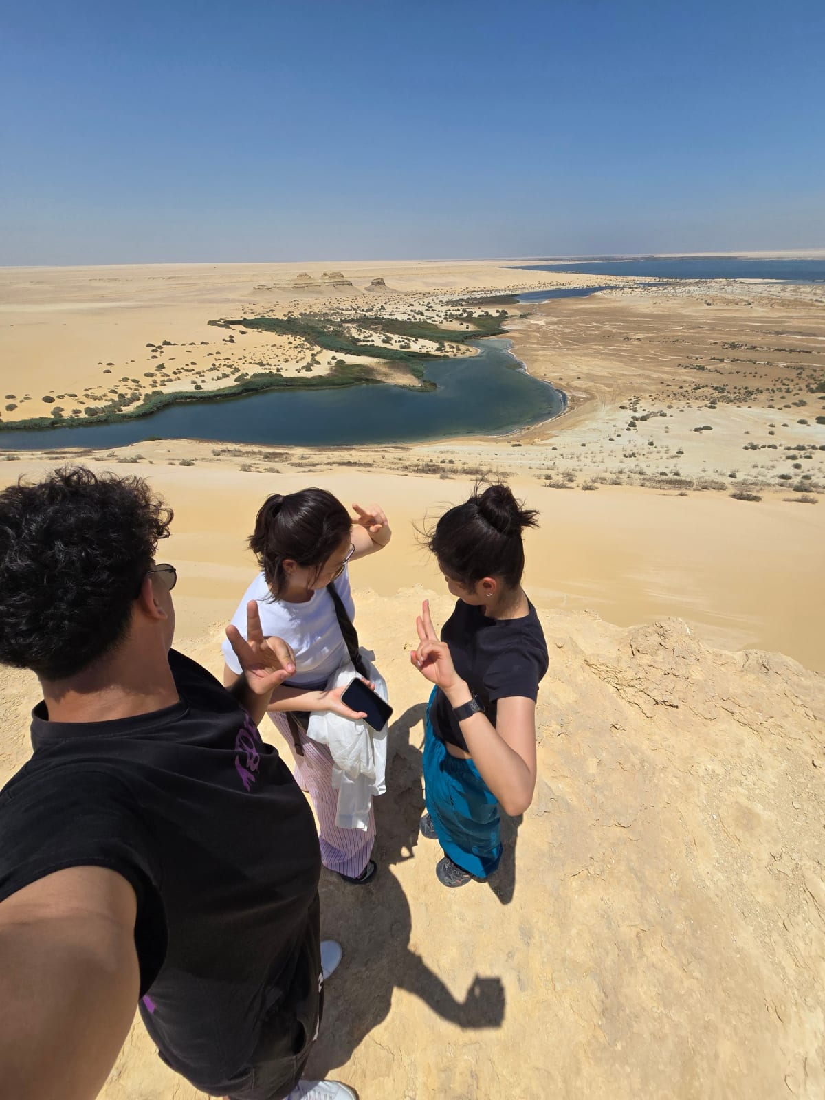 Wadi El Rayan Viewpoint