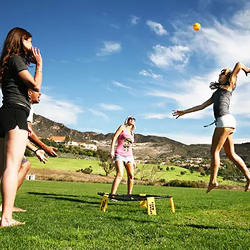 Spikeball Net Everything You Need To Know
