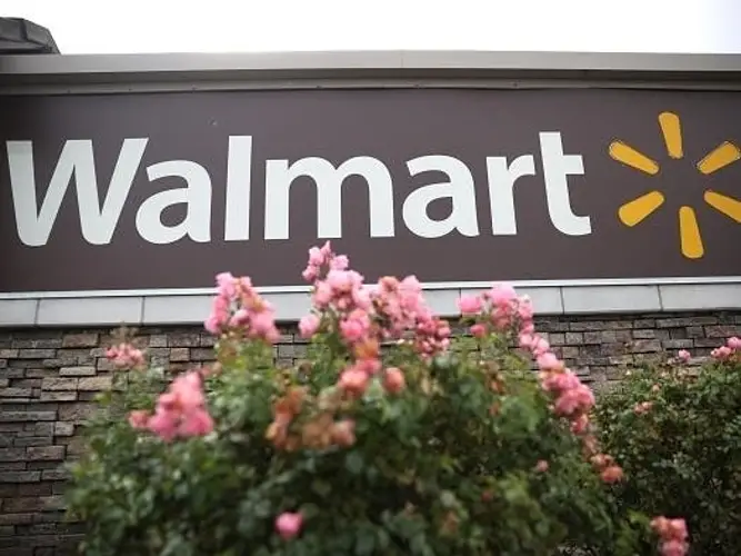 Spikeball At Walmart Canada A Comprehensive Review