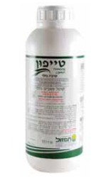 טייפון