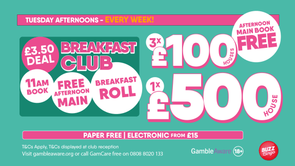 Free Bingo Afternoon