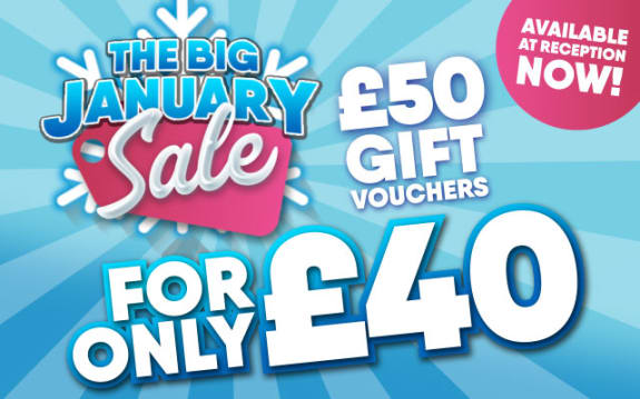 The Big January Sale