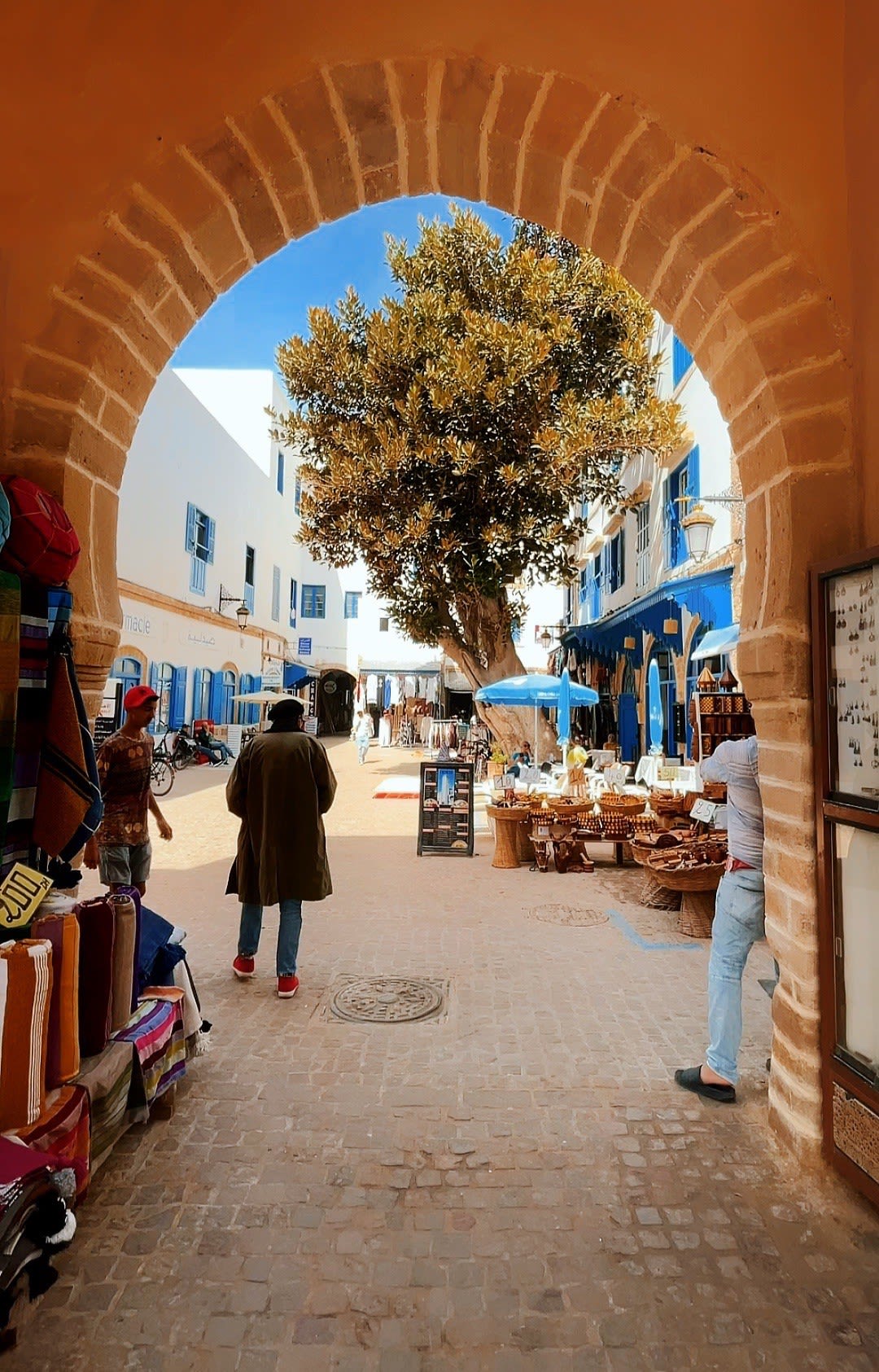 customize trip image