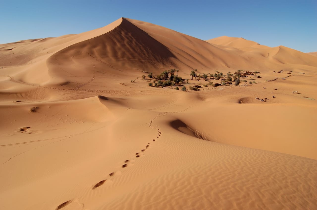 Marruecos espectacular, un viaje increíble de Fez a Marrakech por el Desierto hero image