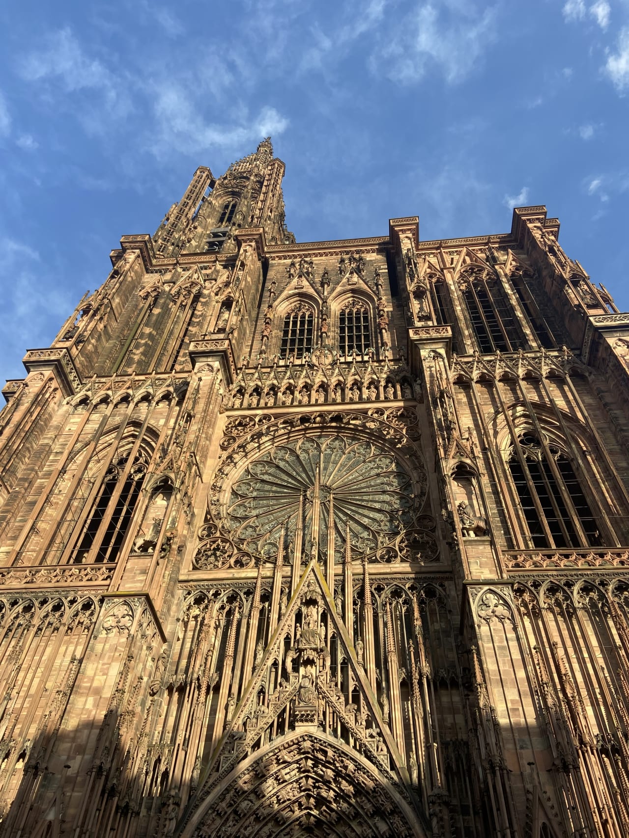 trip gallery picture