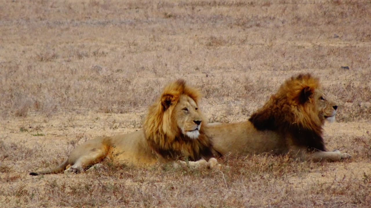 Tanzania