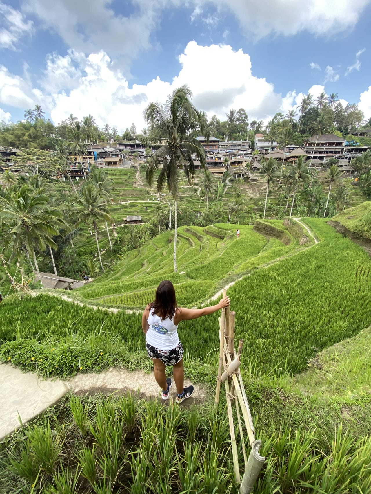 customize trip image