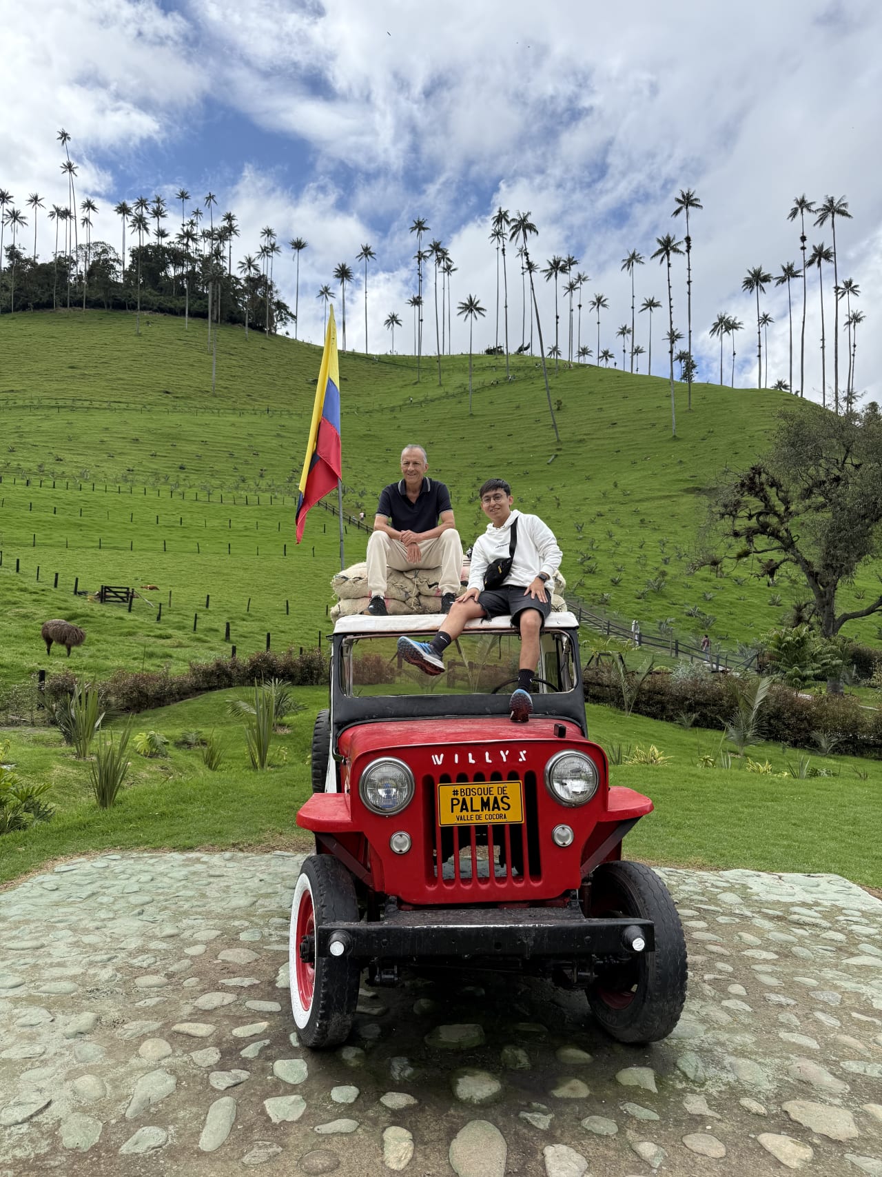 customize trip image