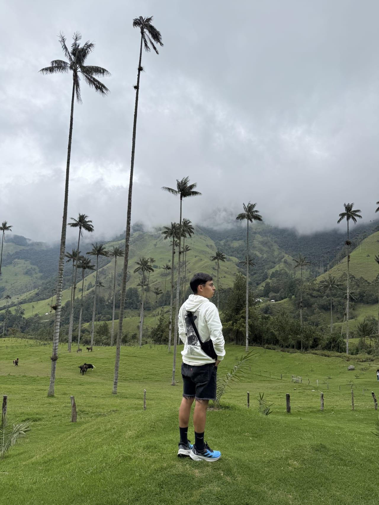 customize trip image