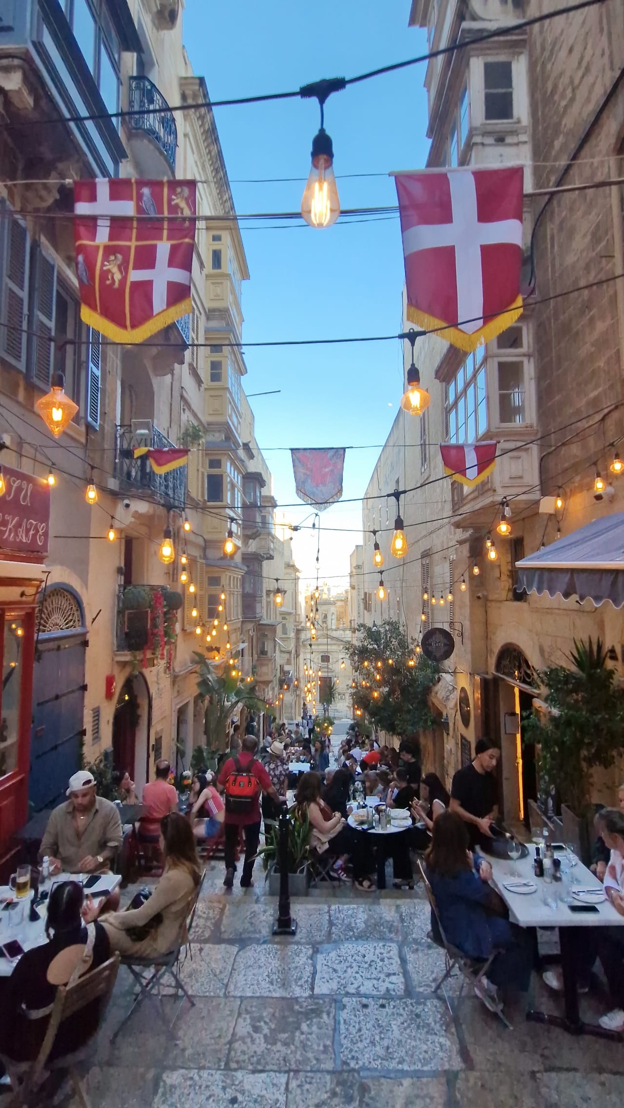 trip gallery picture