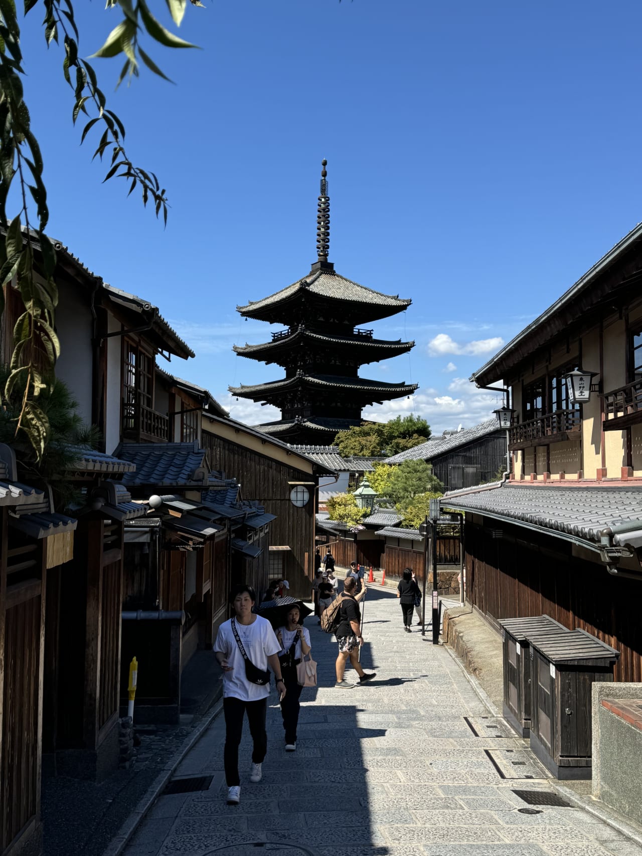 Japón Esencial: Tokio, Alpes y Ruta Imperial hero image