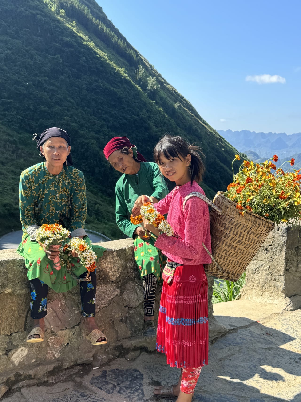 Vietnam Esencial: De Norte a Sur en 16 días hero image