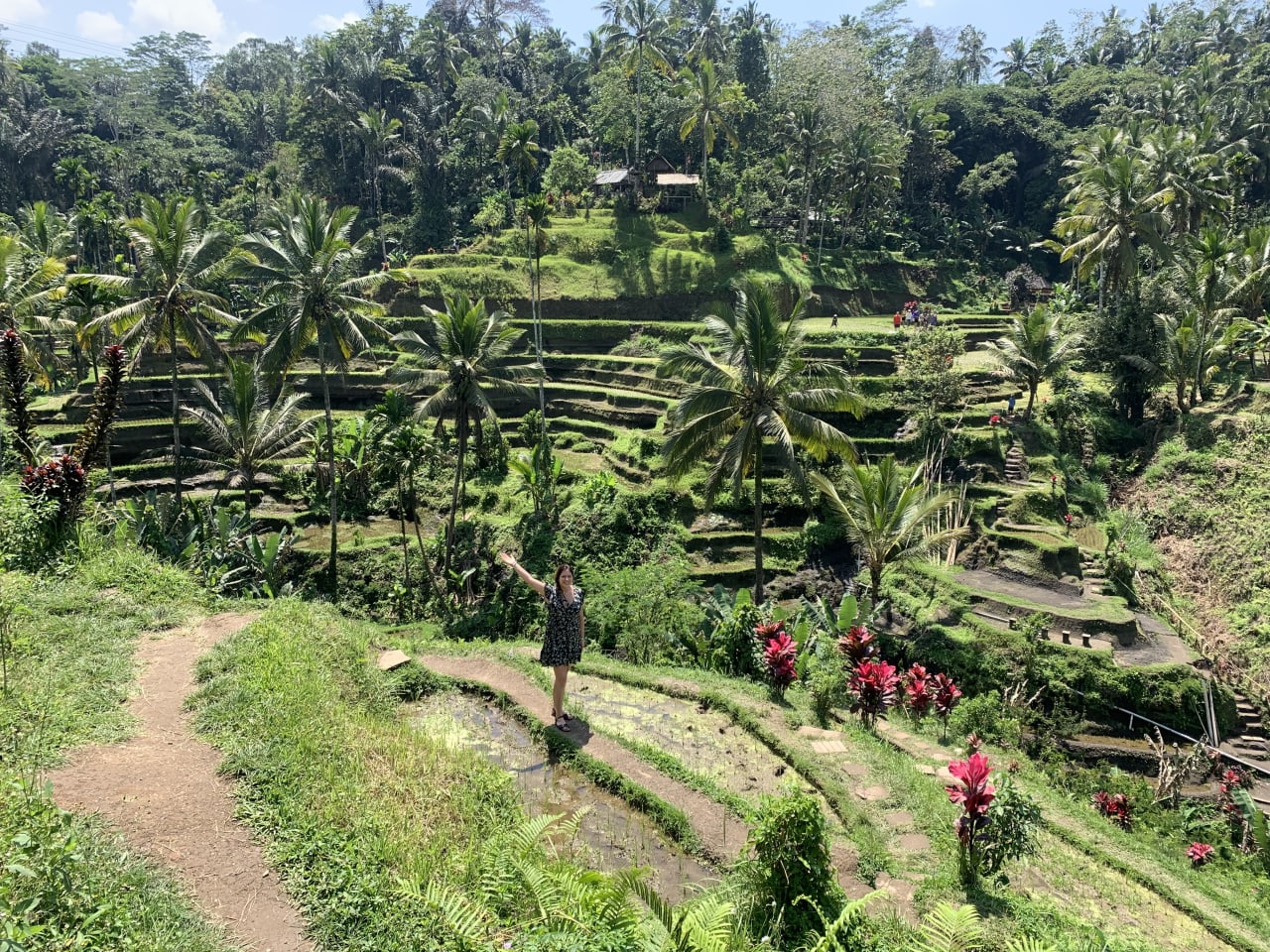 Lo mejor de Indonesia en 13 días: Bali, Nusa Penida e Islas Gili. hero image