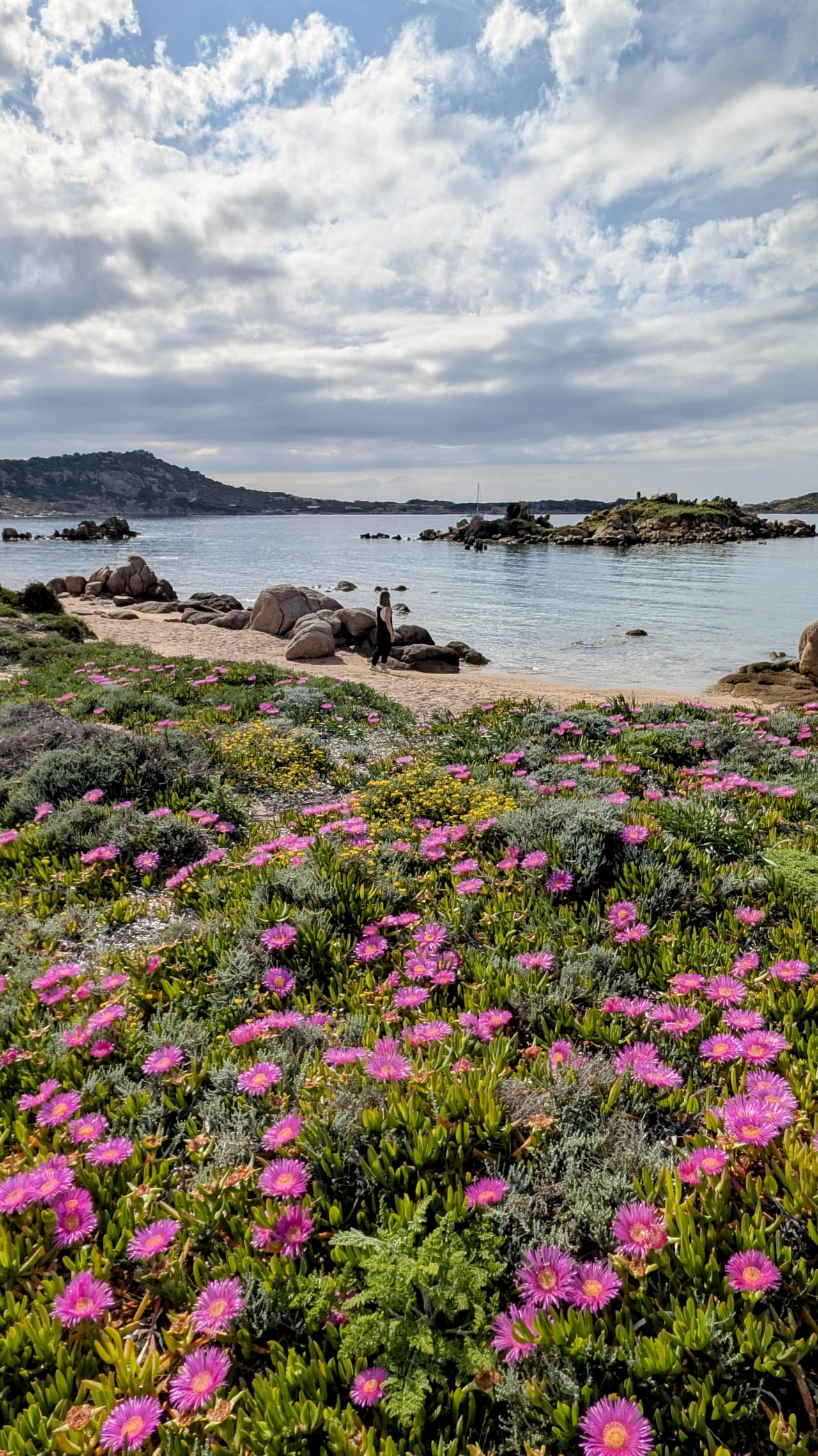 Cerdeña Esencial: 9 días de aventura, mar y naturaleza hero image