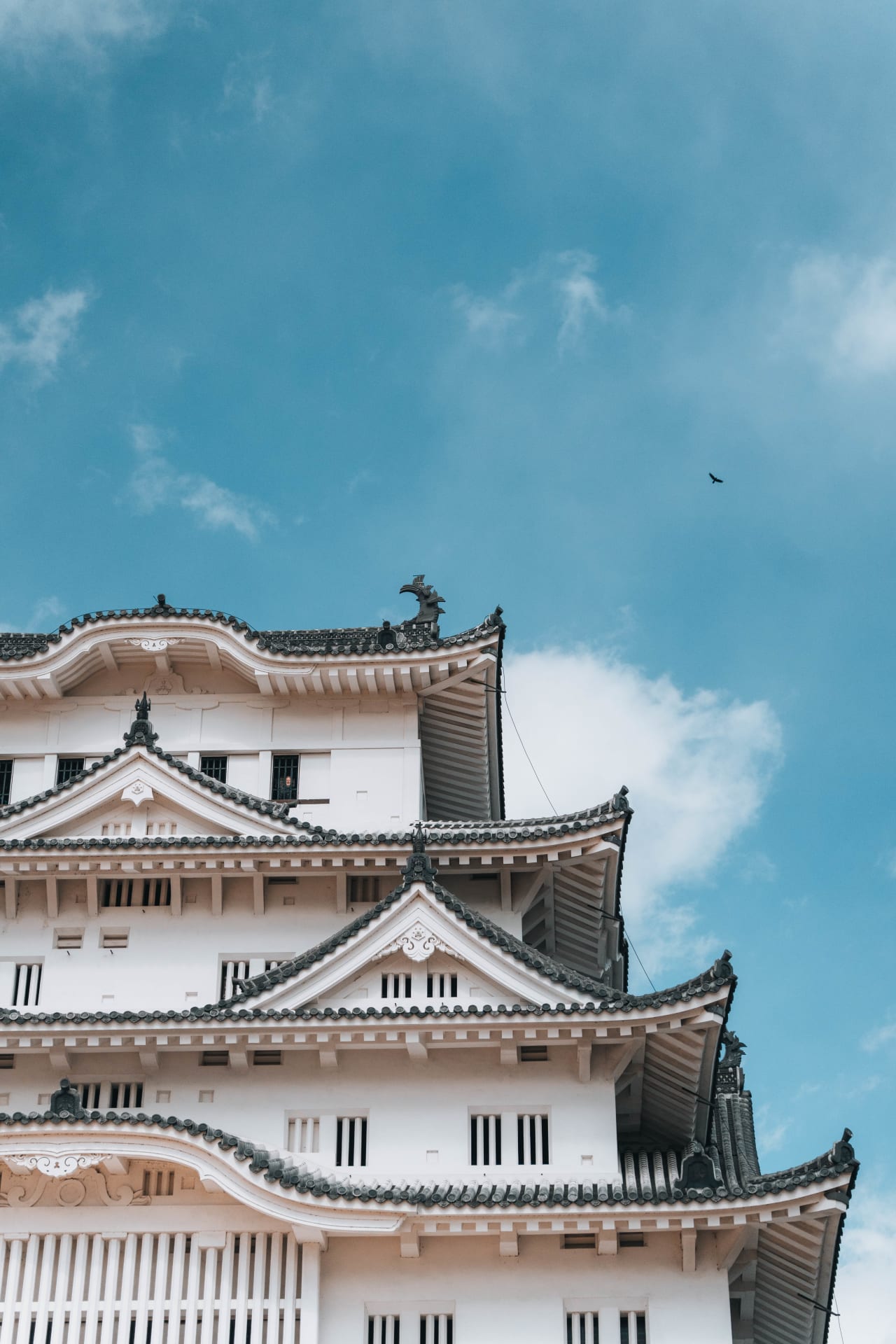 customize trip image