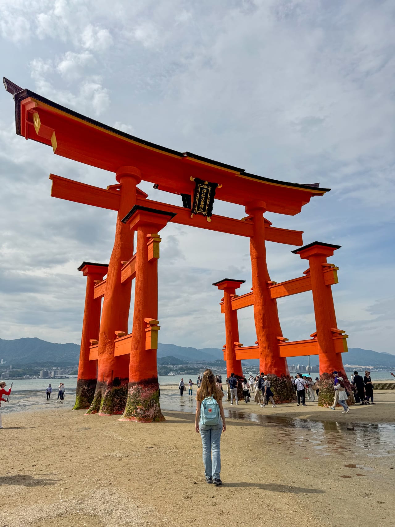 customize trip image