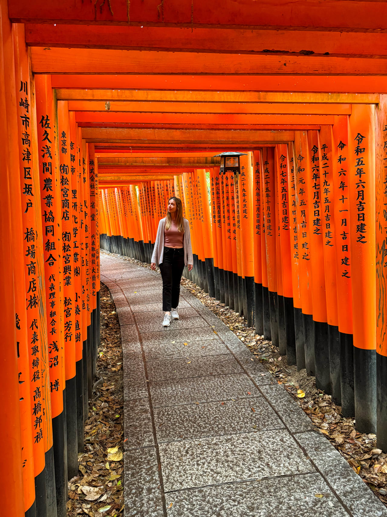 Descubre lo mejor de Japón: Kyoto, Osaka, Alpes japoneses y Tokyo en 15 días + Guía de viaje con recomendaciones y curiosidades hero image