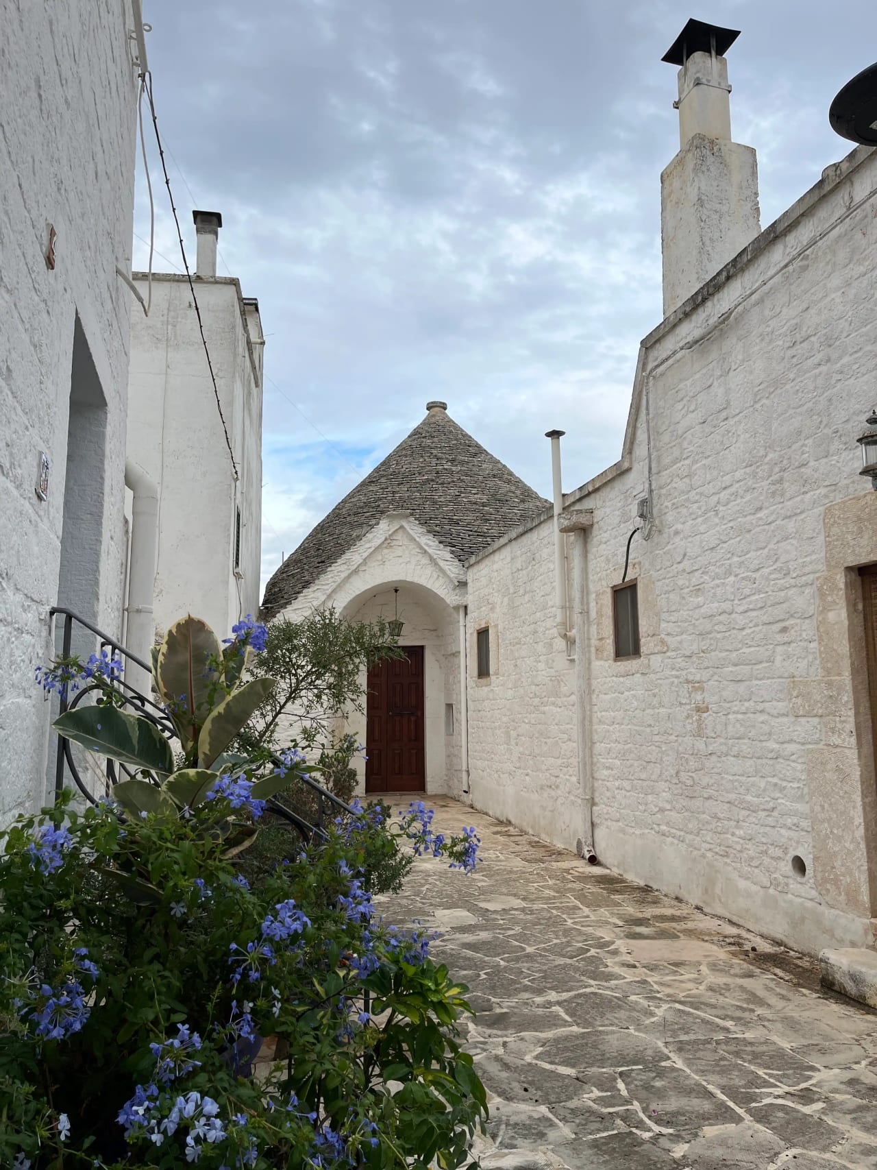 Descubre la Puglia en 5 noches. La Italia menos conocida y fascinante 🇮🇹 🌵 hero image
