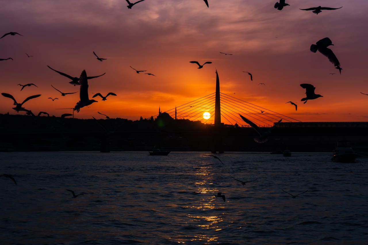 Descubre Estambul en 5 días: cultura, sabores y bazares hero image