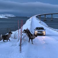 Luces del Norte: Entre Fiordos y Auroras