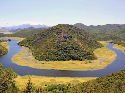 Activity image
